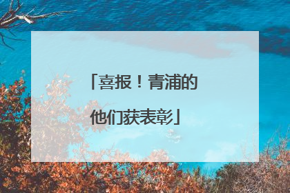 喜报！青浦的他们获表彰